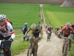 Marathon-EM 2013 269